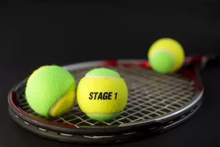 Green Dot - Satellite